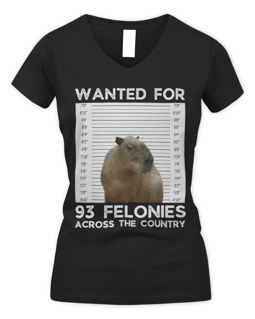 Funny Capybara Mugshot Wanted Poster Capy Meme Lover