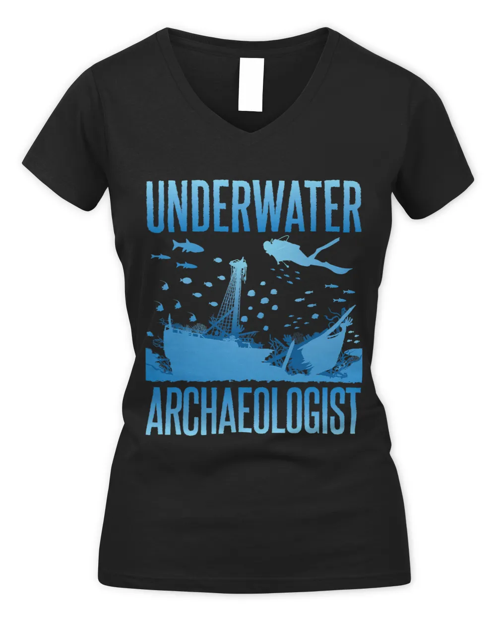 Underwater Archaeologist Archaeology Maritime Artifacts