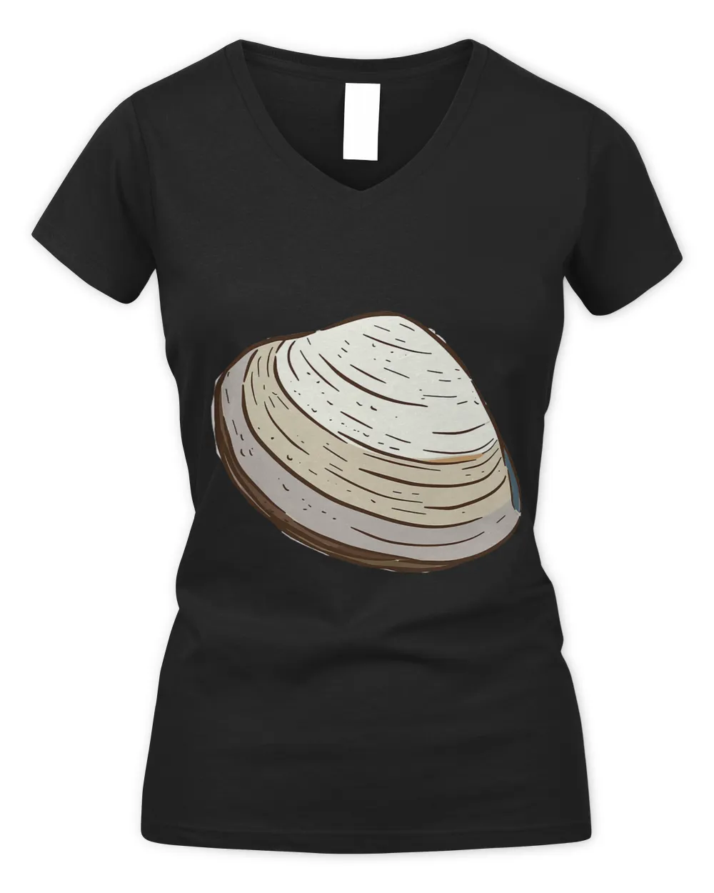Seashells Clam and Clams 21