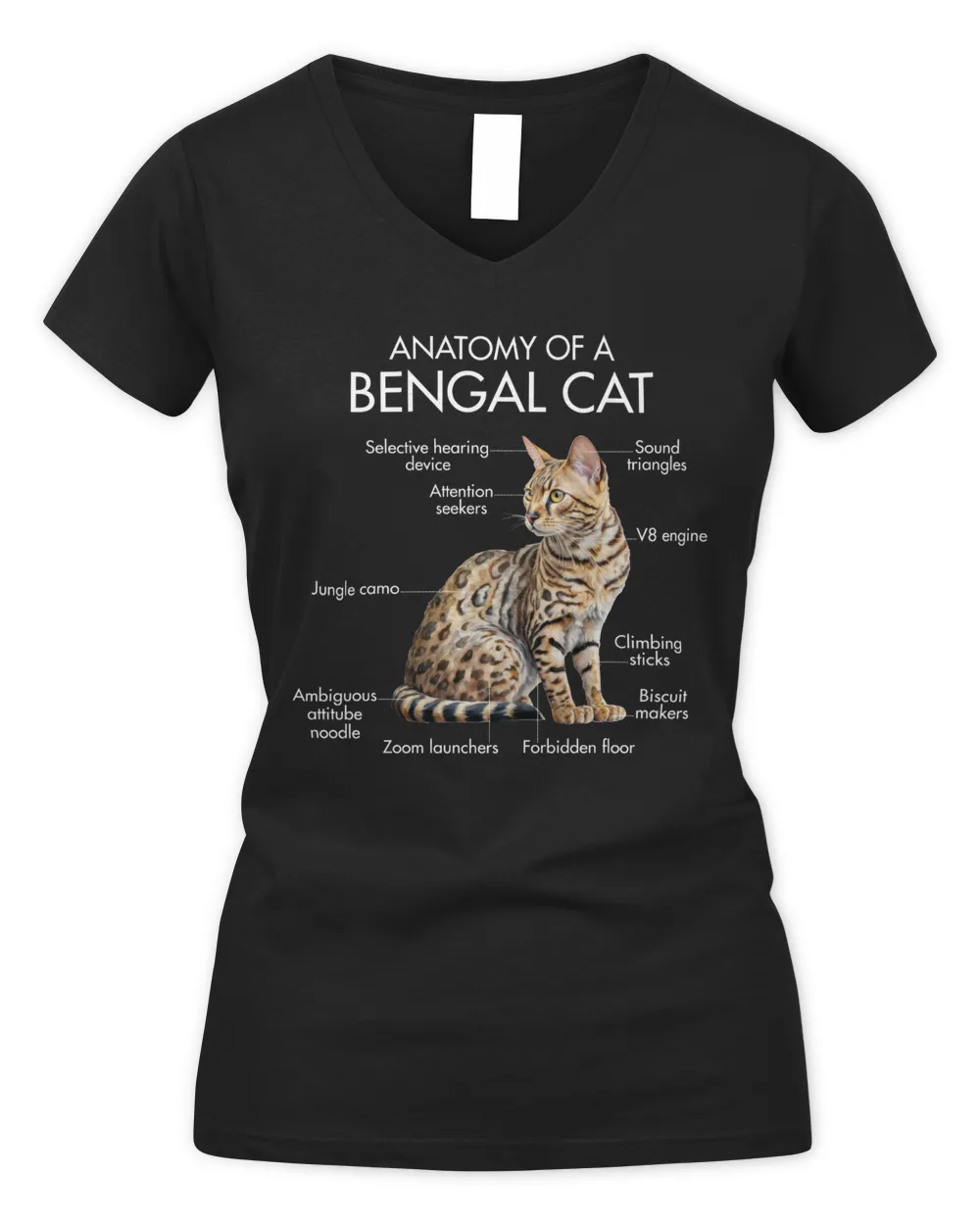 Anatomy Of A Bengal Cat