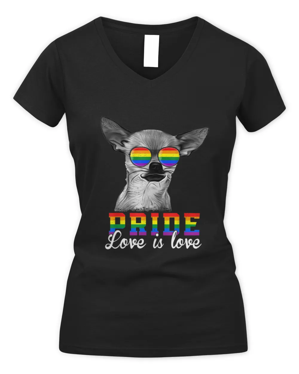 Chihuahua Pride Love is Love Women's V-Neck T-Shirt black s