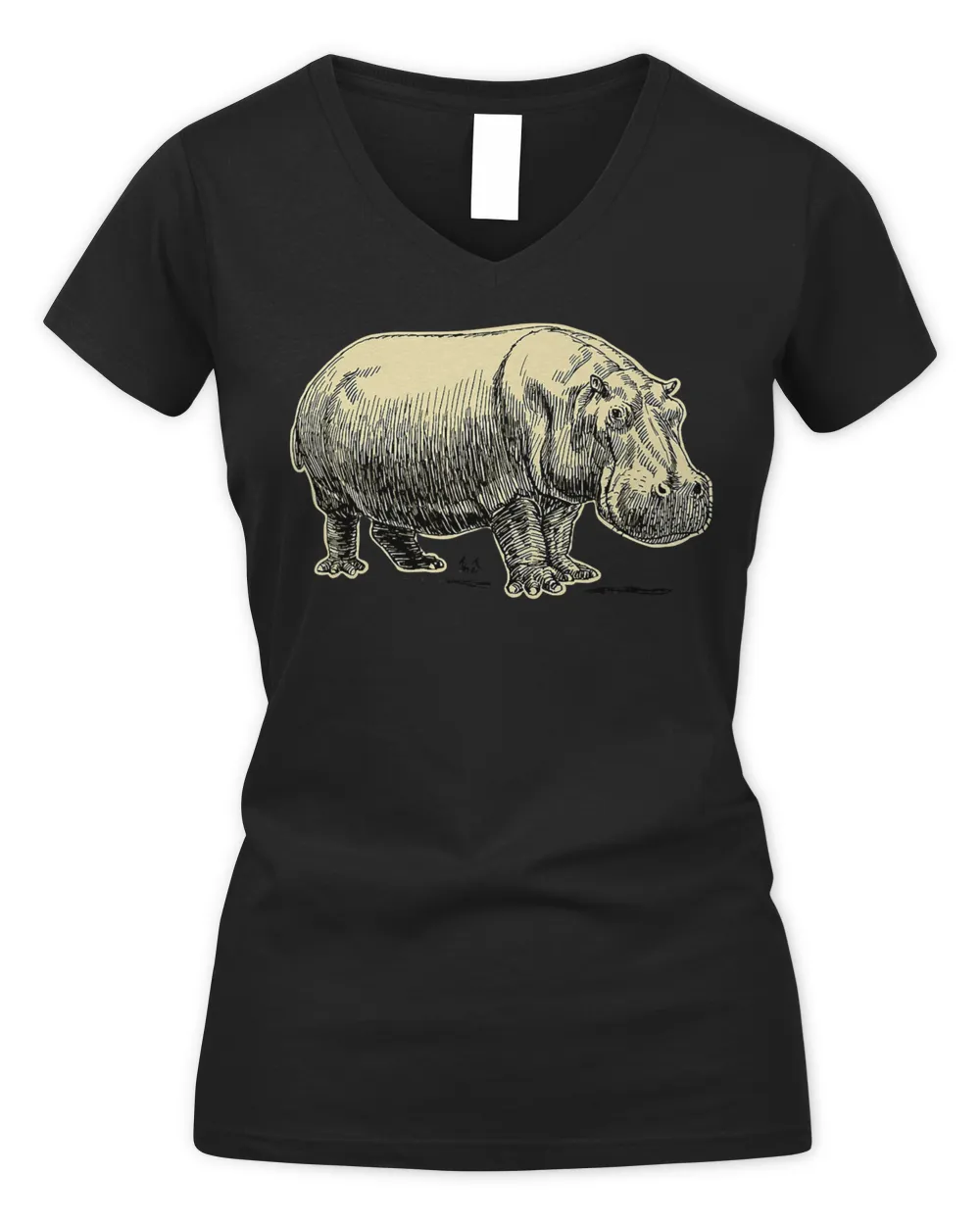 Hippopotamus Animal 153 Hippo