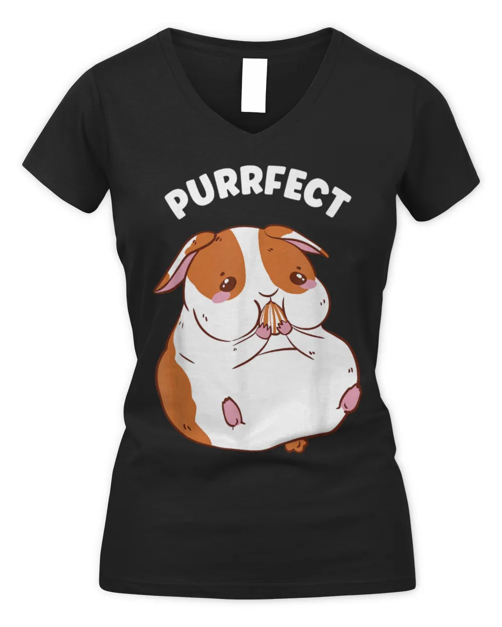 Hamster Pet Purrfect House Pets Hamster