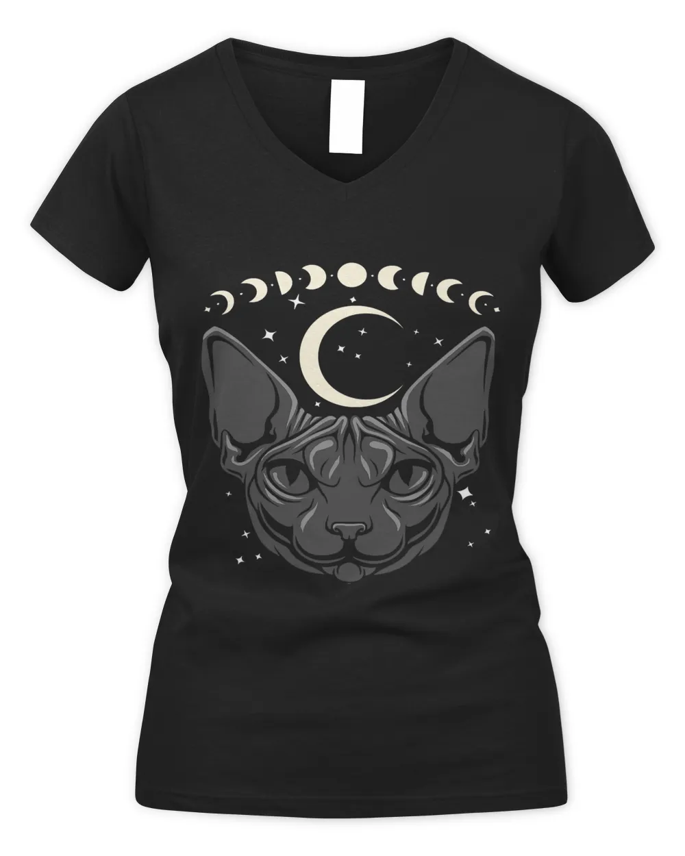 Pastel Goth Sphynx Cat Hairless Cat Moon Phase Cat Lover400