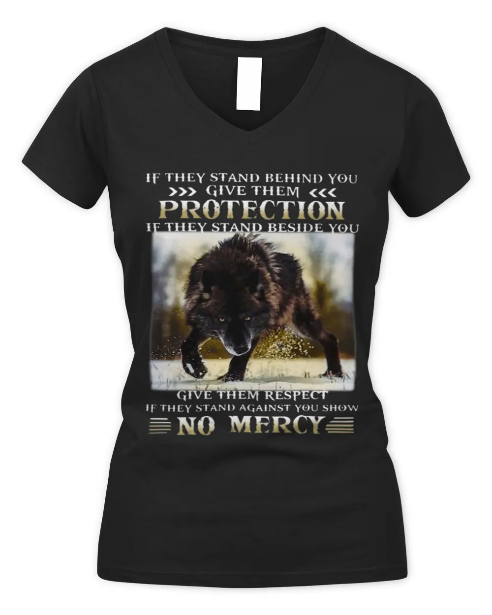 If They Stand Behind You Give Them Protection Women's V-Neck T-Shirt black s