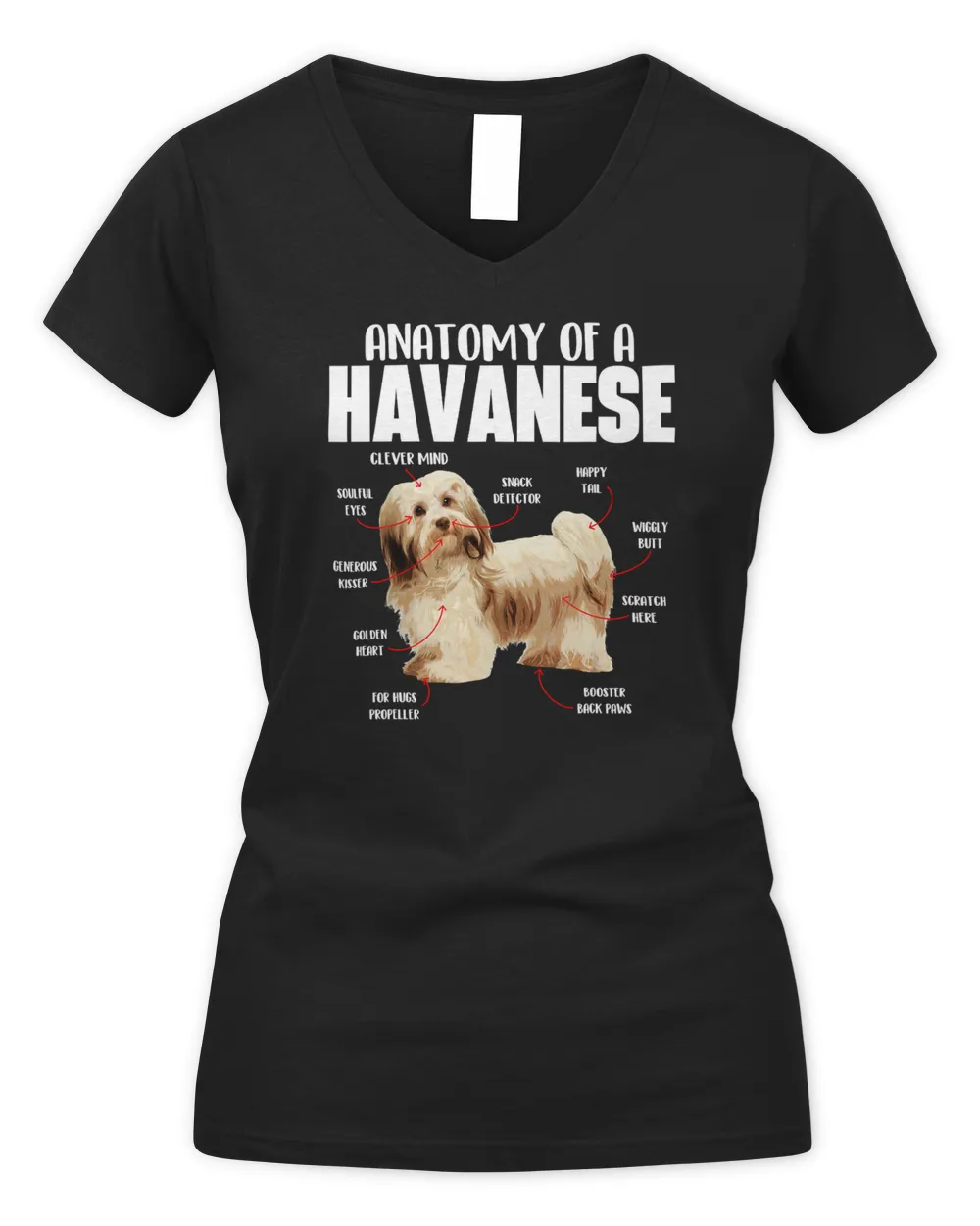 Anatomy Of A Havanese - Cuban Havaneser Havanezer T-Shirt