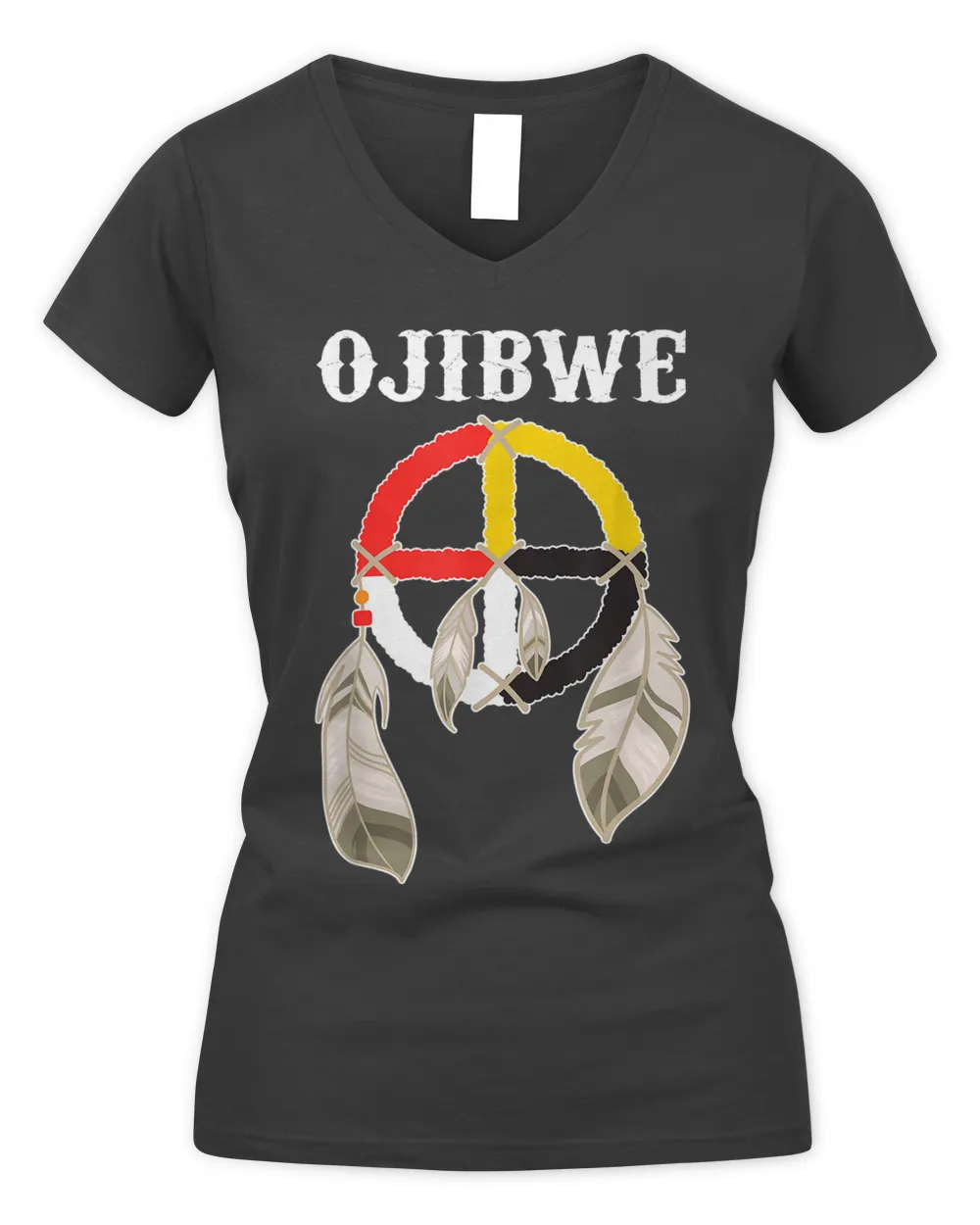 Ojibwe Anishinaabeg People Native American