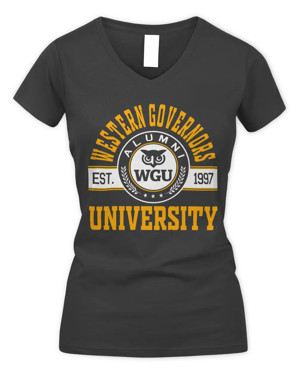 Western Governors Uni Lgo2