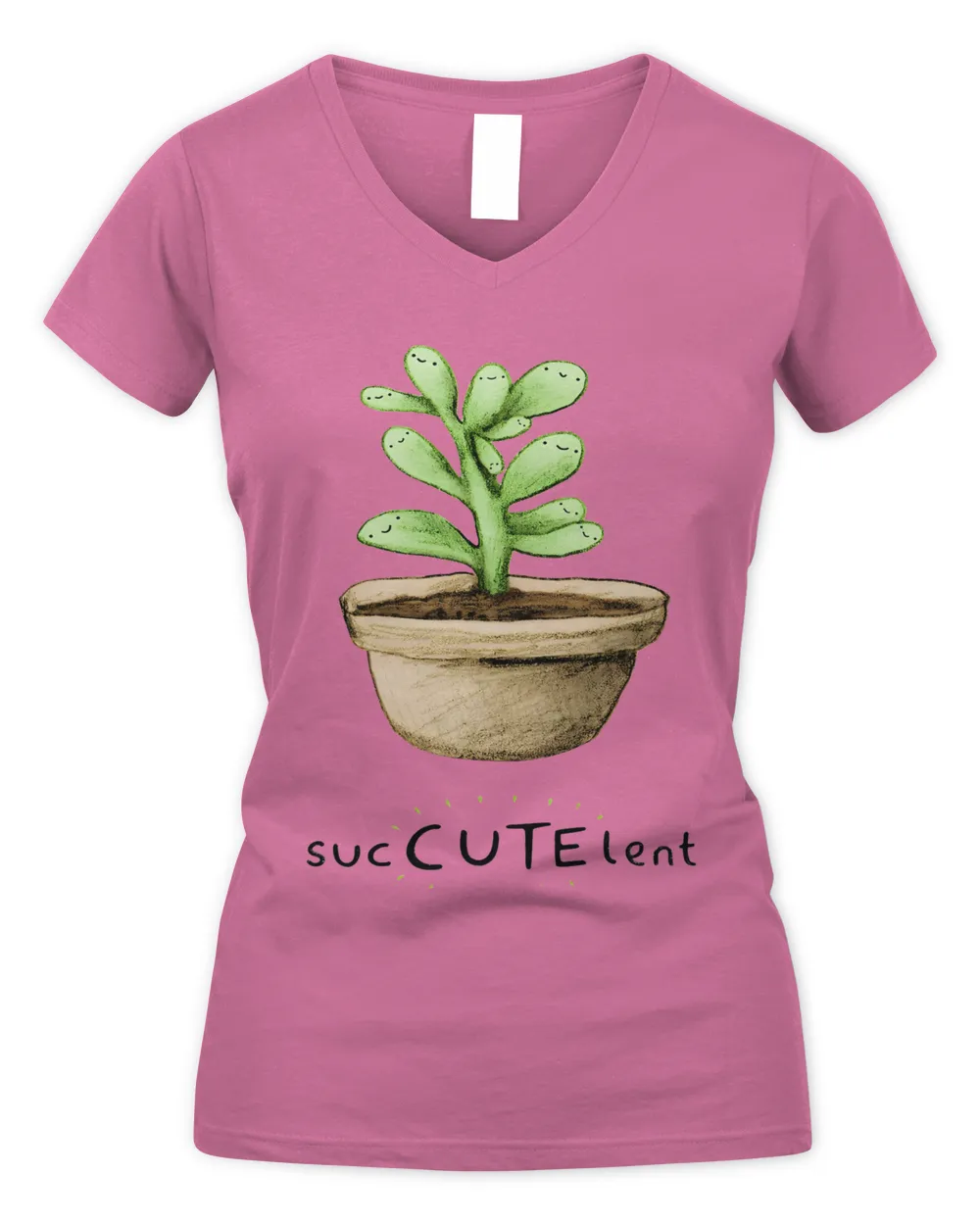 Cute succulent