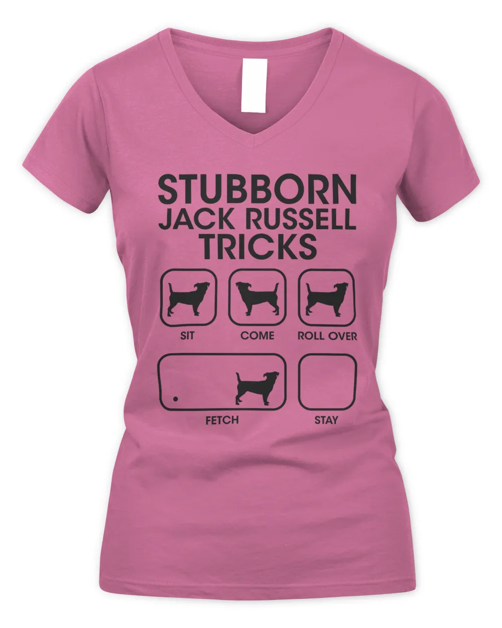Stubborn Jack Russell Tricks