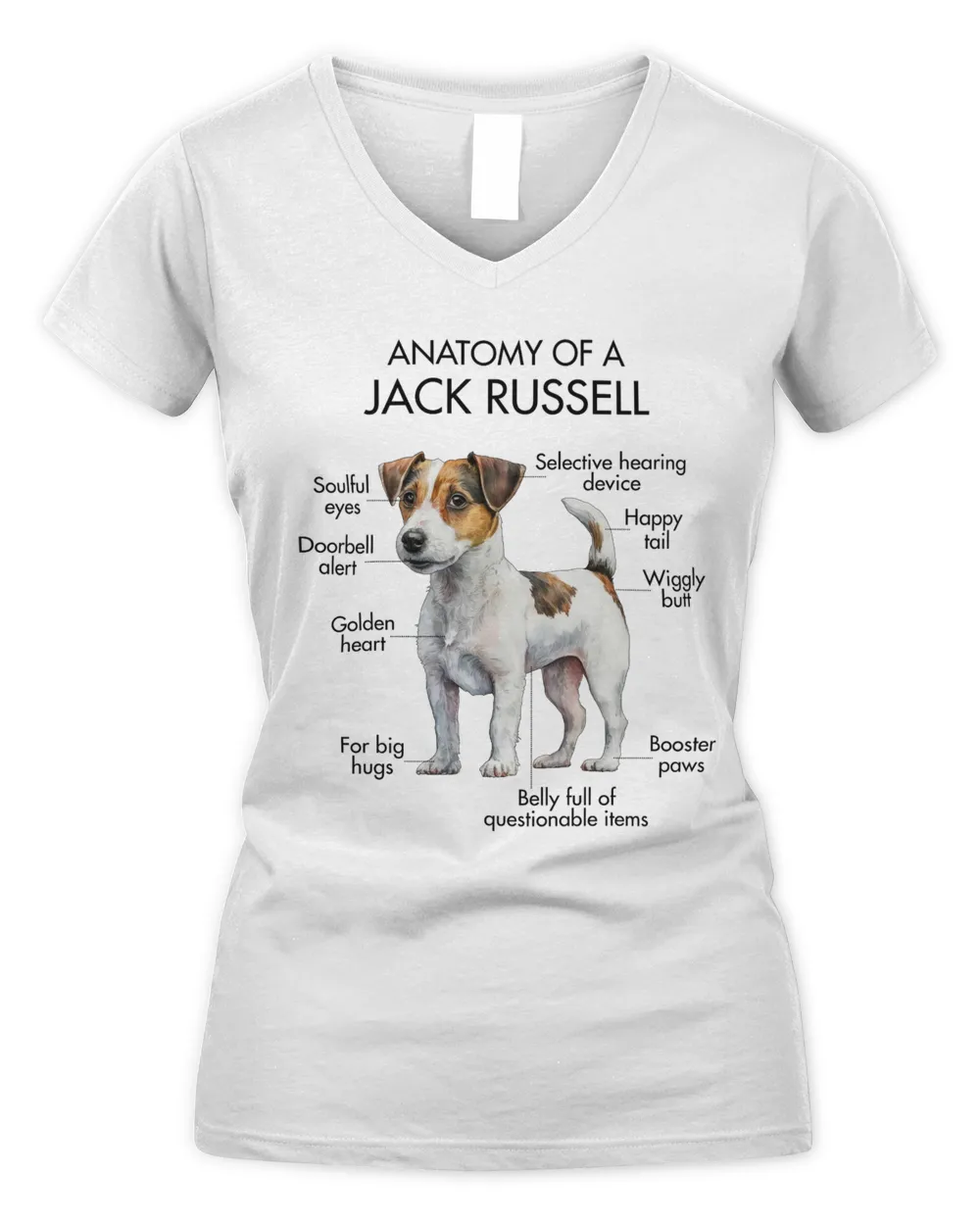 Anatomy Of A Jack Russell