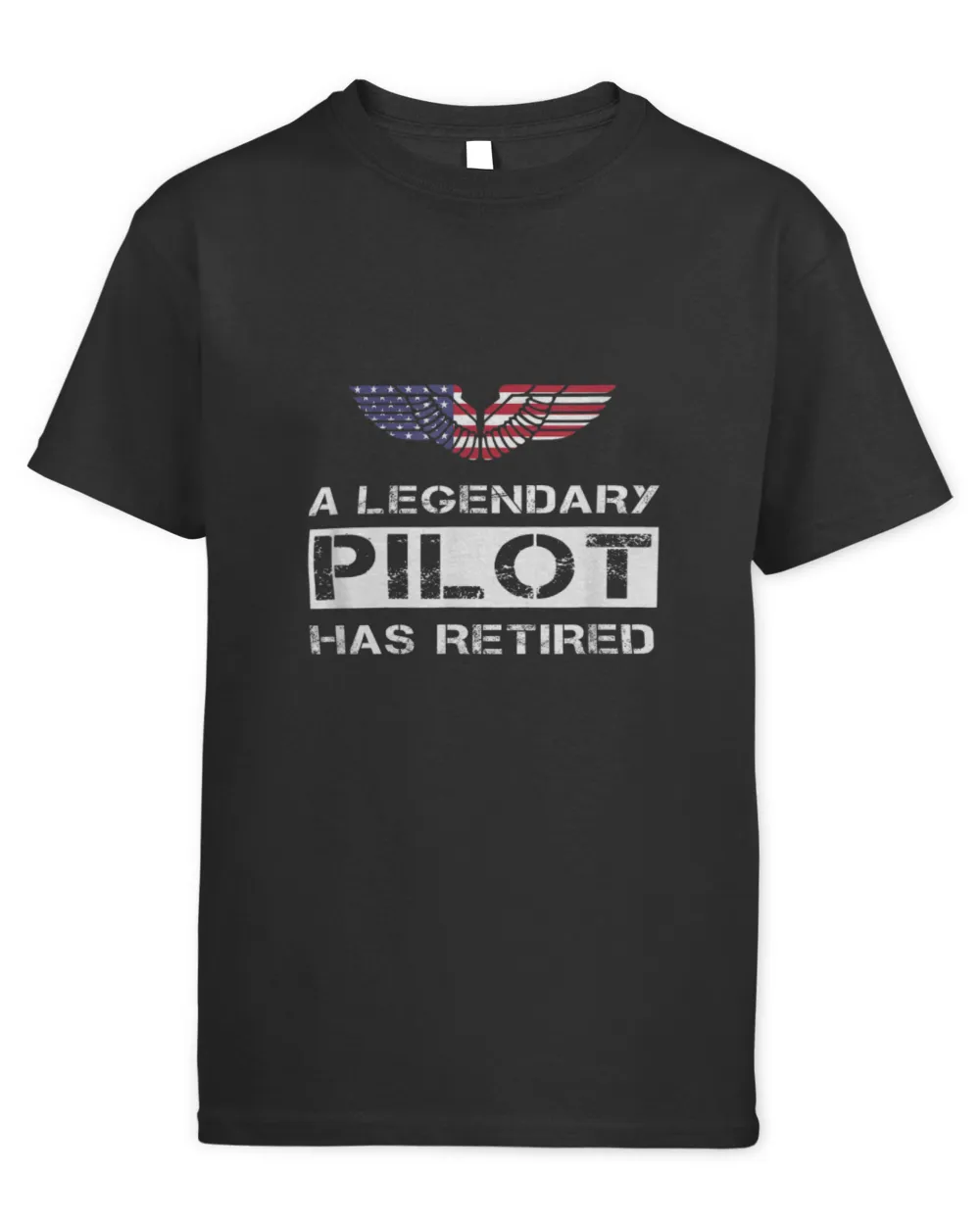 A Legendary Pilot Has Retired Military Jet Retirement Wings