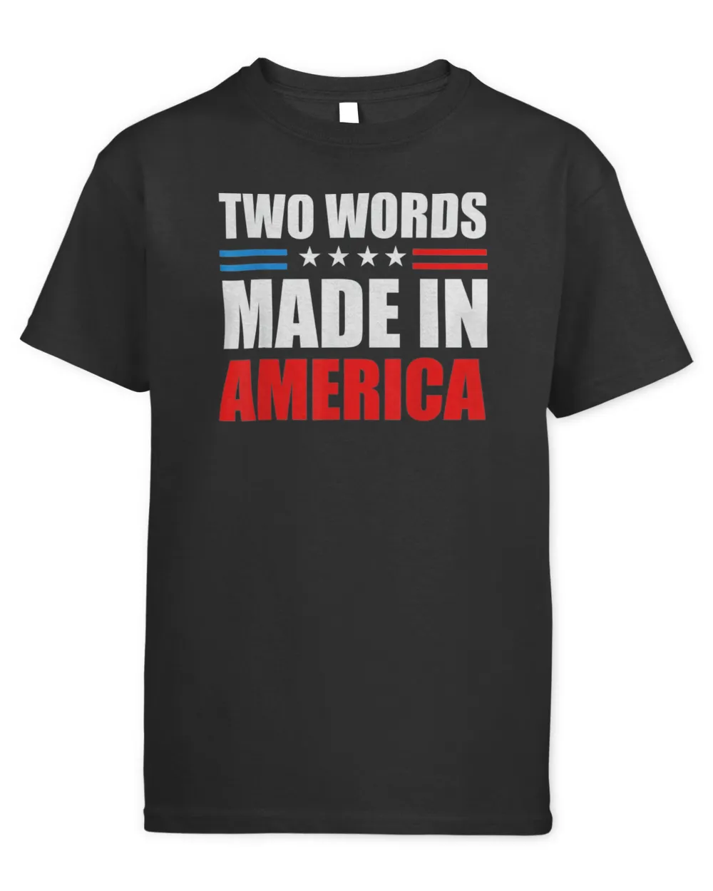 Two Words Made In America American Flag T-Shirt