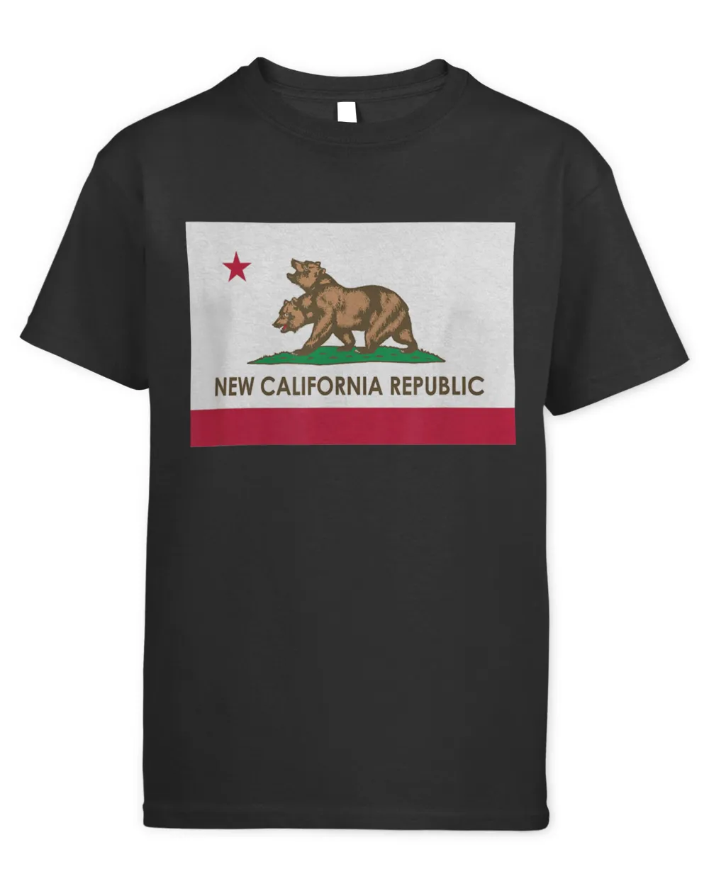 New California Republic  NCR Flag 19