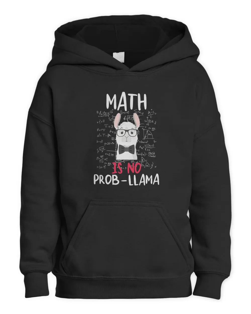 Math Is No ProbLlama Math Teacher Llama Lover Math