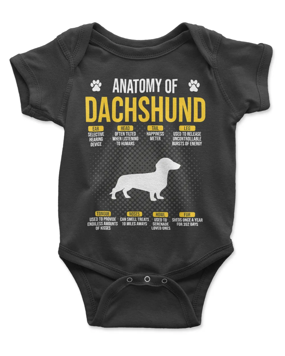 Dachshund Dog Anatomy Of A Dachhshund Funny Dog 308 Dog Lover