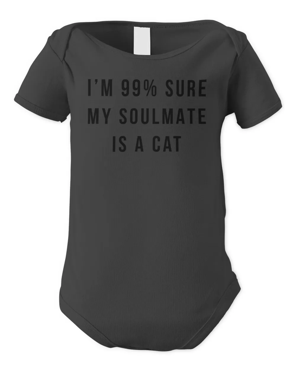 My Soulmate Is A Cat