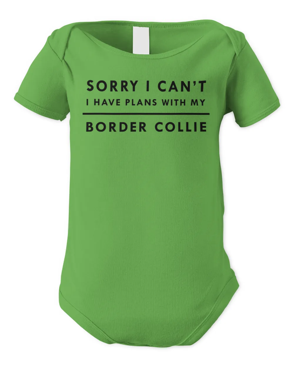I Have Plans With My Border Collie