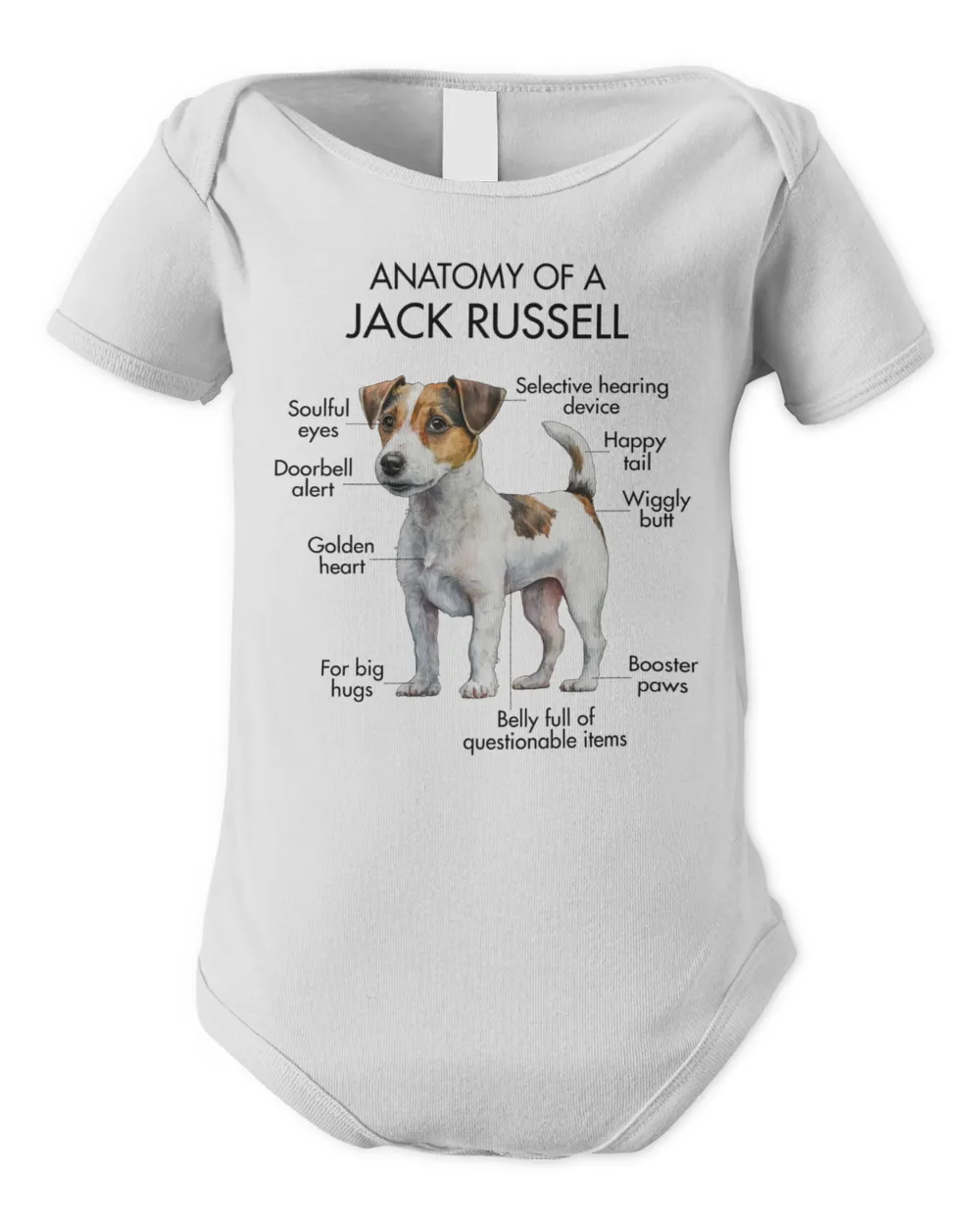 Anatomy Of A Jack Russell