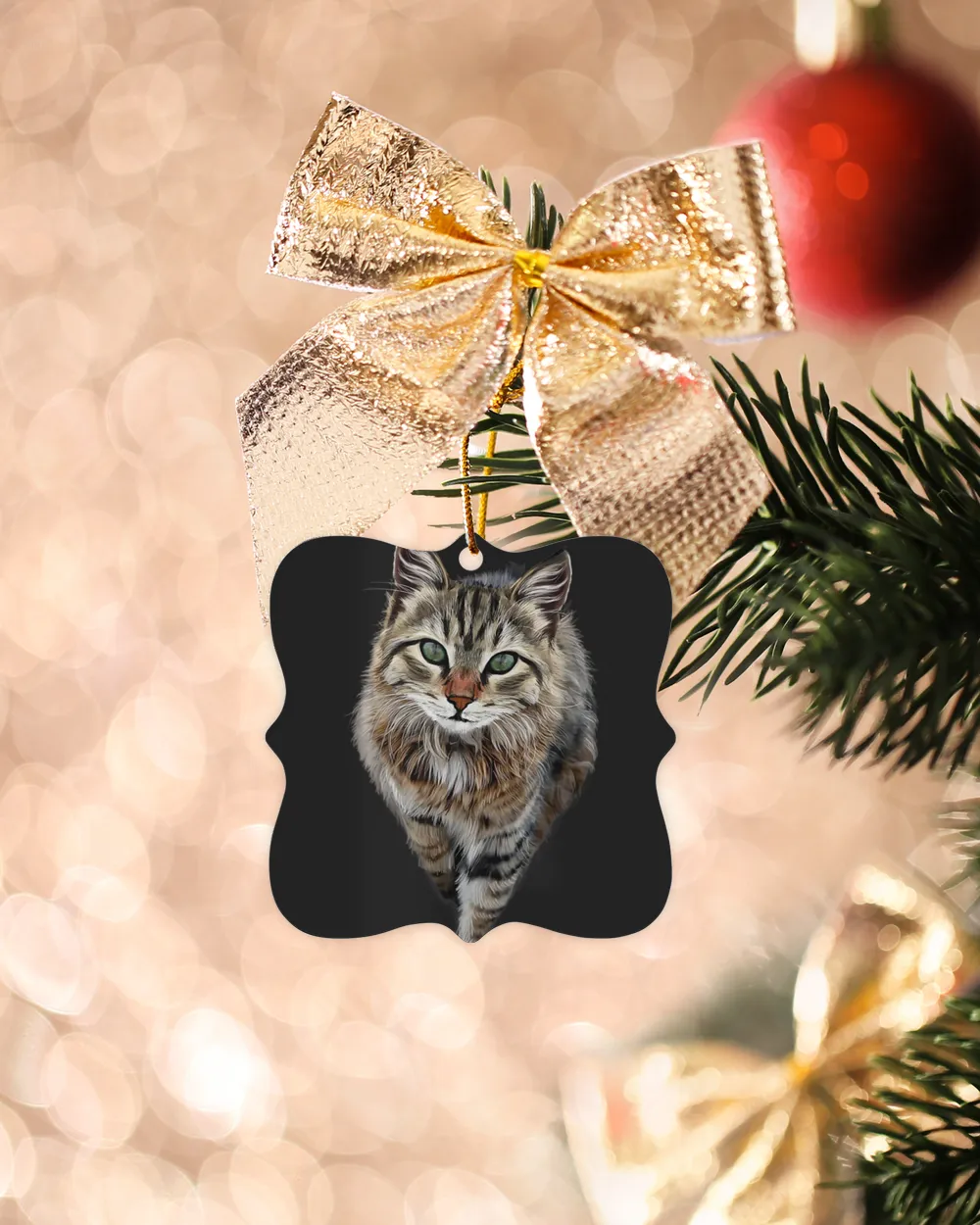 Brown Cat Green Eyes T-Shirt Cats Tee Shirt Gifts