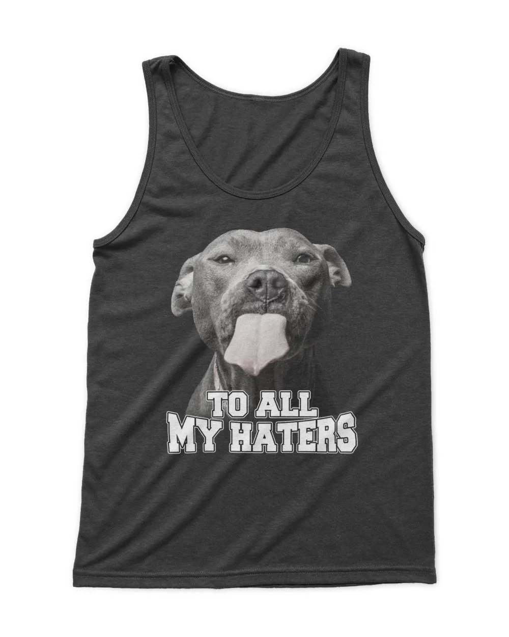 To All My Haters Dog QTDOG102022A1