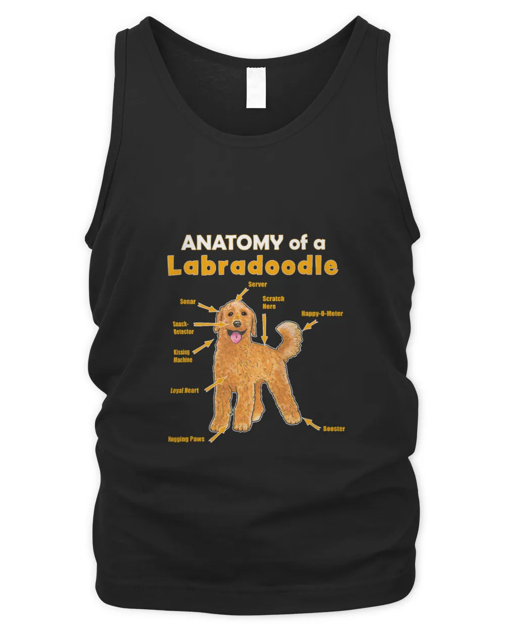 Funny anatomy of a labradoodle for him and her
