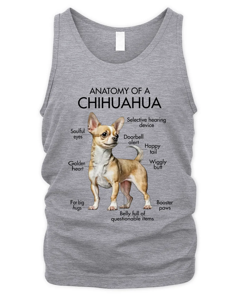 Anatomy Of A Chihuahua