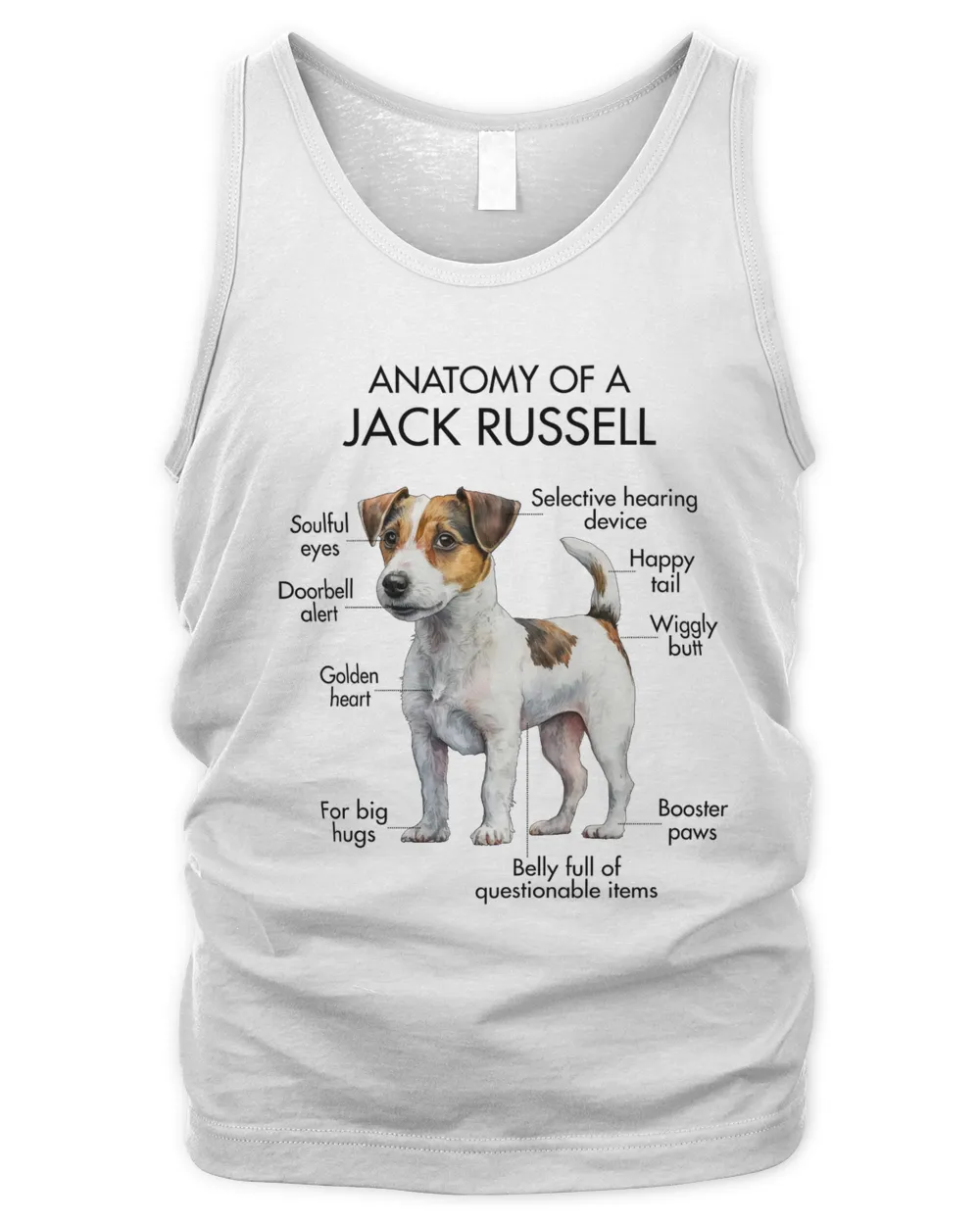 Anatomy Of A Jack Russell