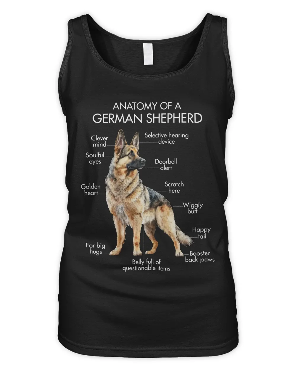 Anatomy Of A German Shepherd