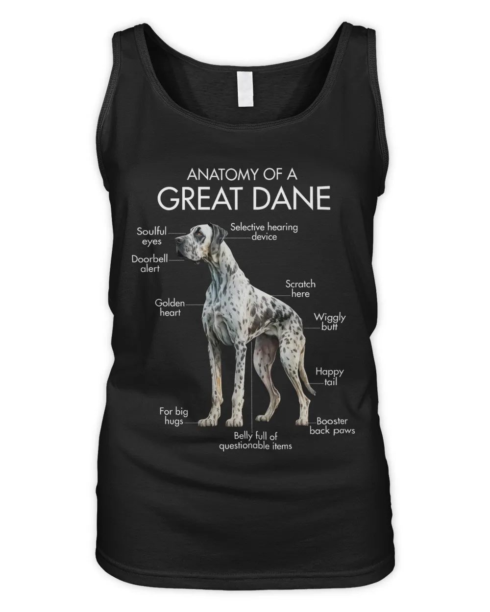 Anatomy Of A Great Dane