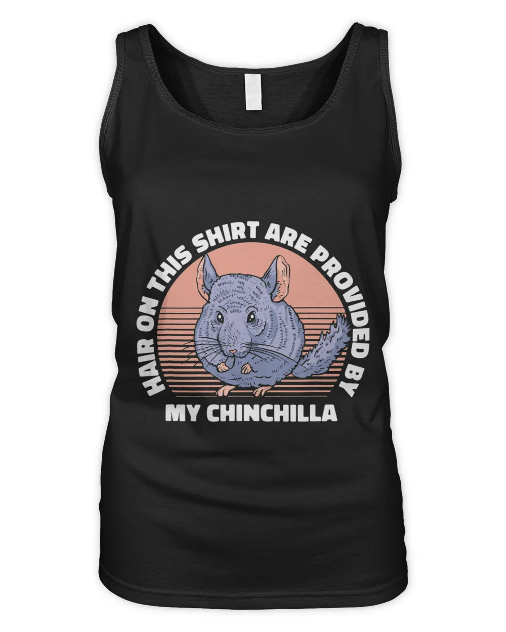 Hairs Are Provided By My Chinchilla Short Tail Chinchilla