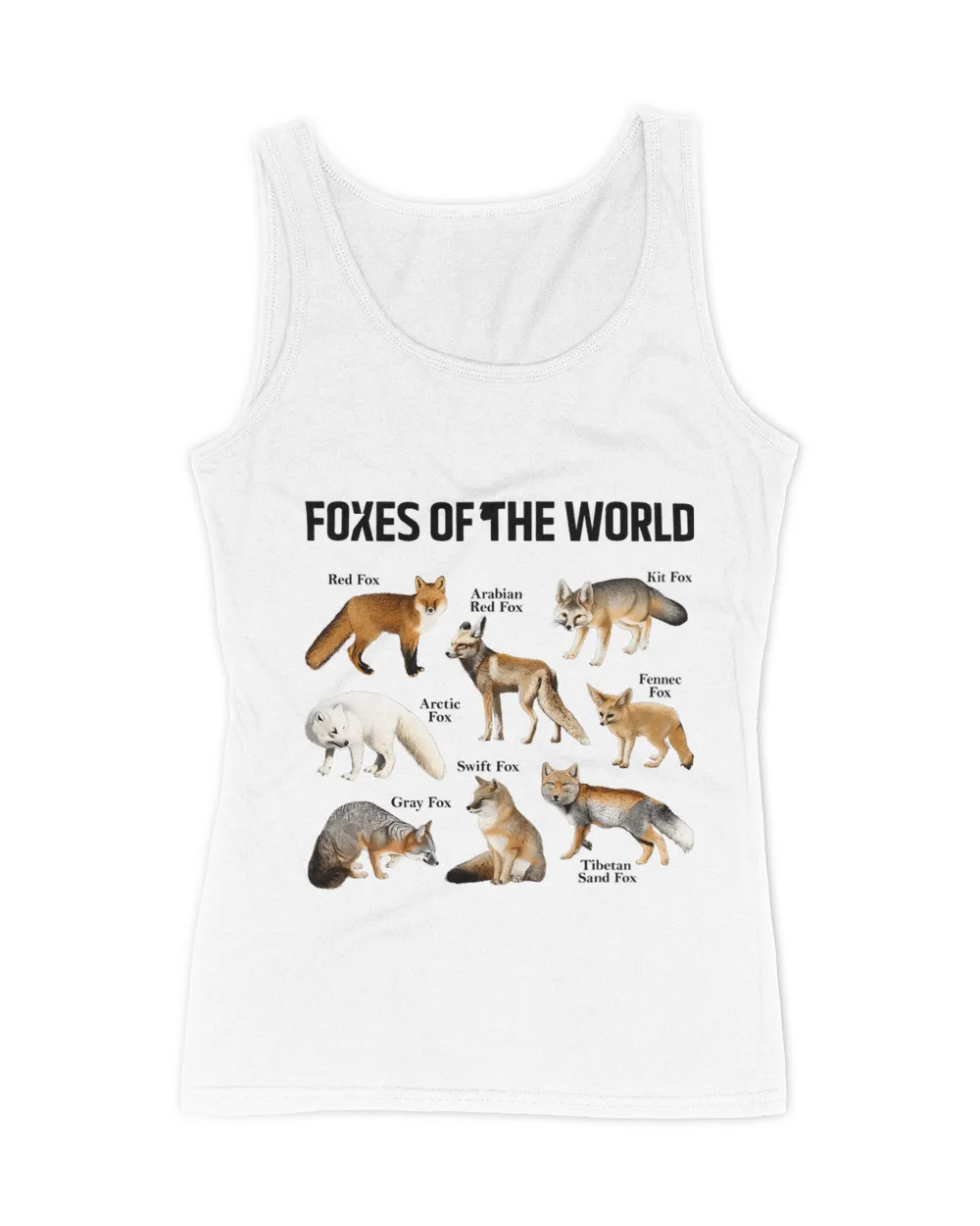 Foxes Of The World Cute Fox Animals