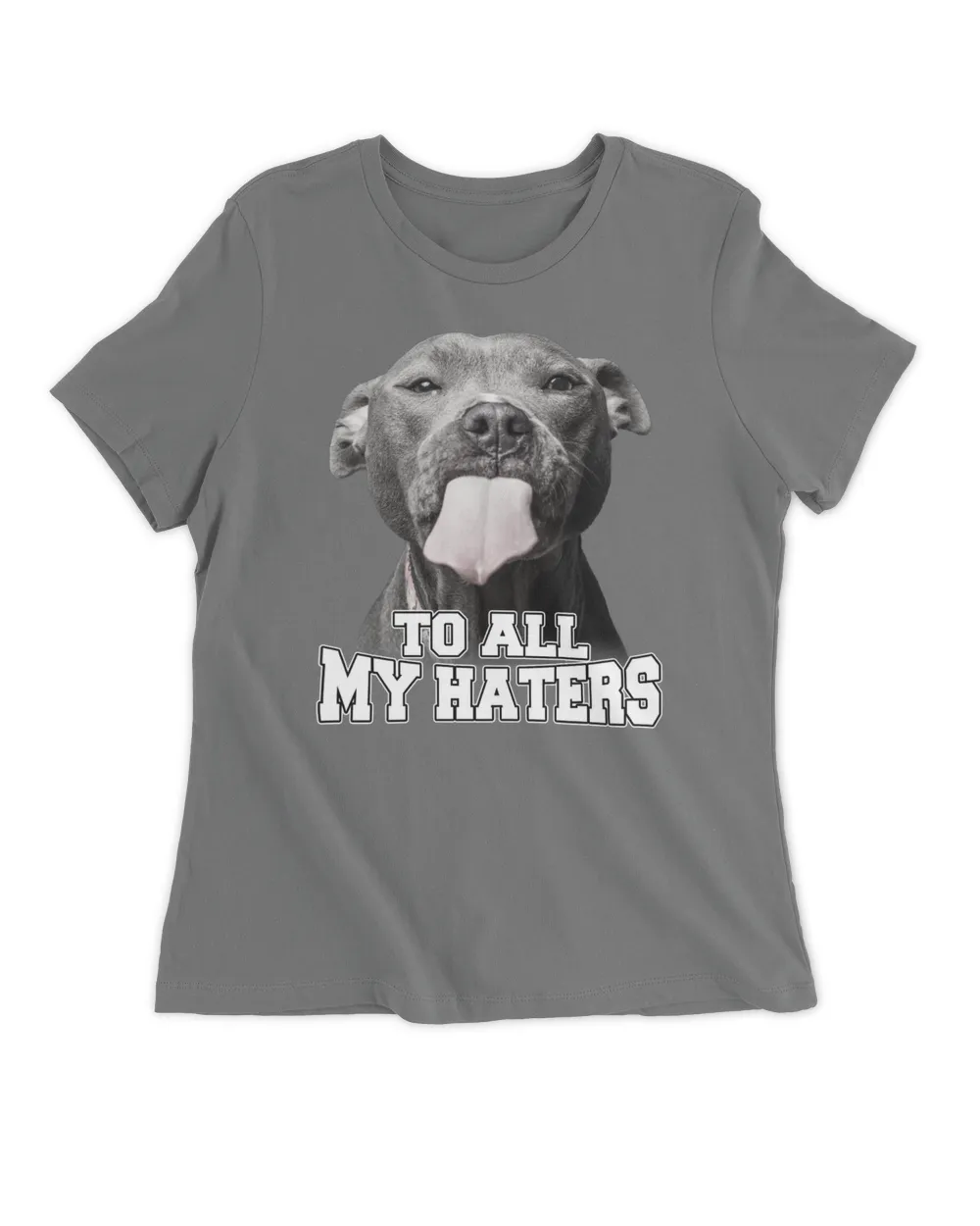 To All My Haters Dog QTDOG102022A1