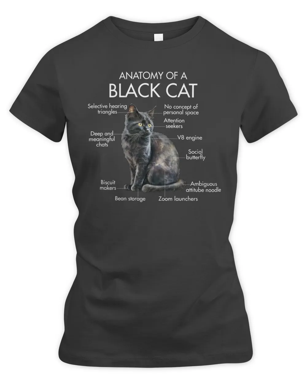 Anatomy Of A Black Cat