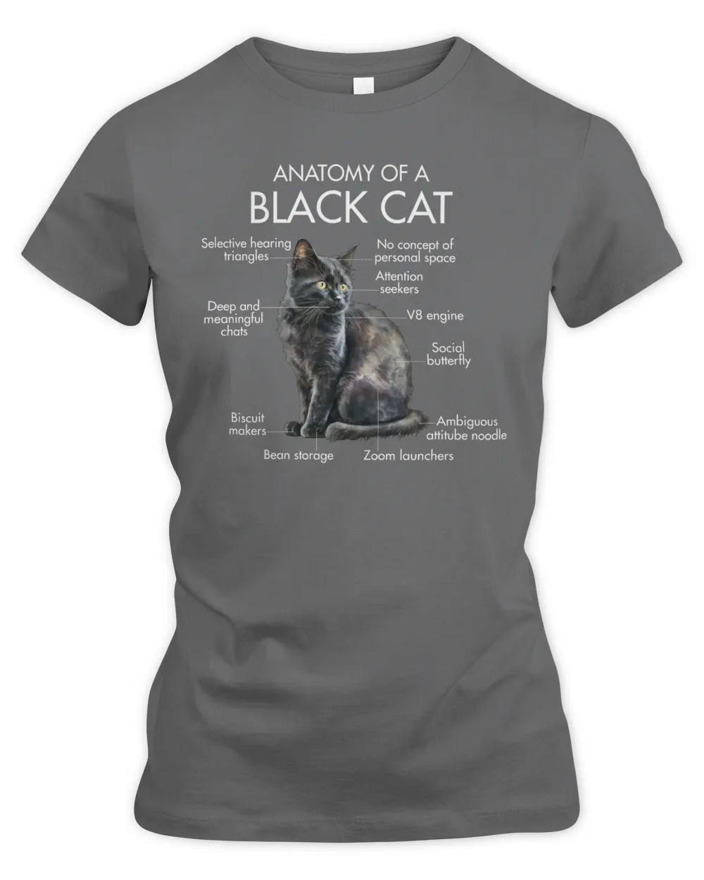 Anatomy Of A Black Cat