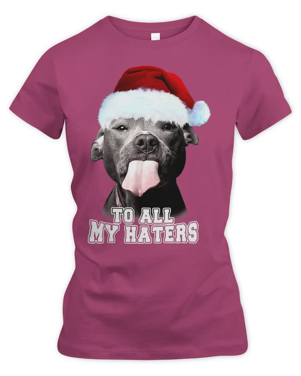 Pitbull To All My Haters Christmas Hat Pitbull Dog Lover