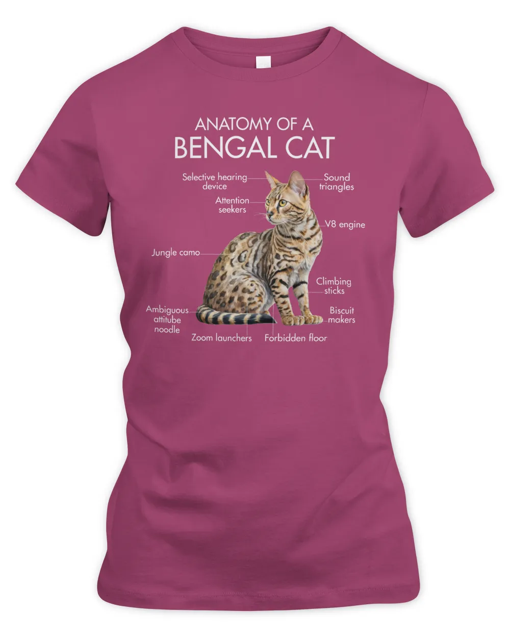 Anatomy Of A Bengal Cat