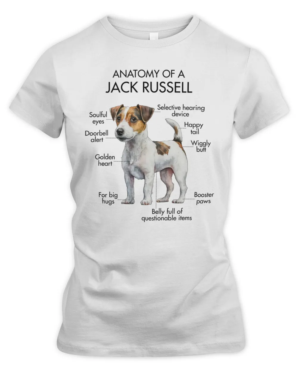 Anatomy Of A Jack Russell