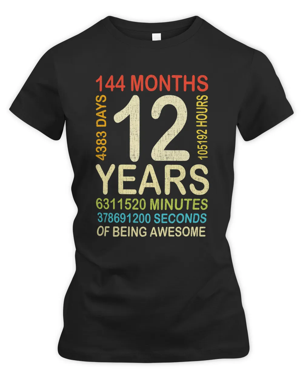 12th Birthday 12 Years Old Vintage Retro 144 Months Boy Girl T-Shirt
