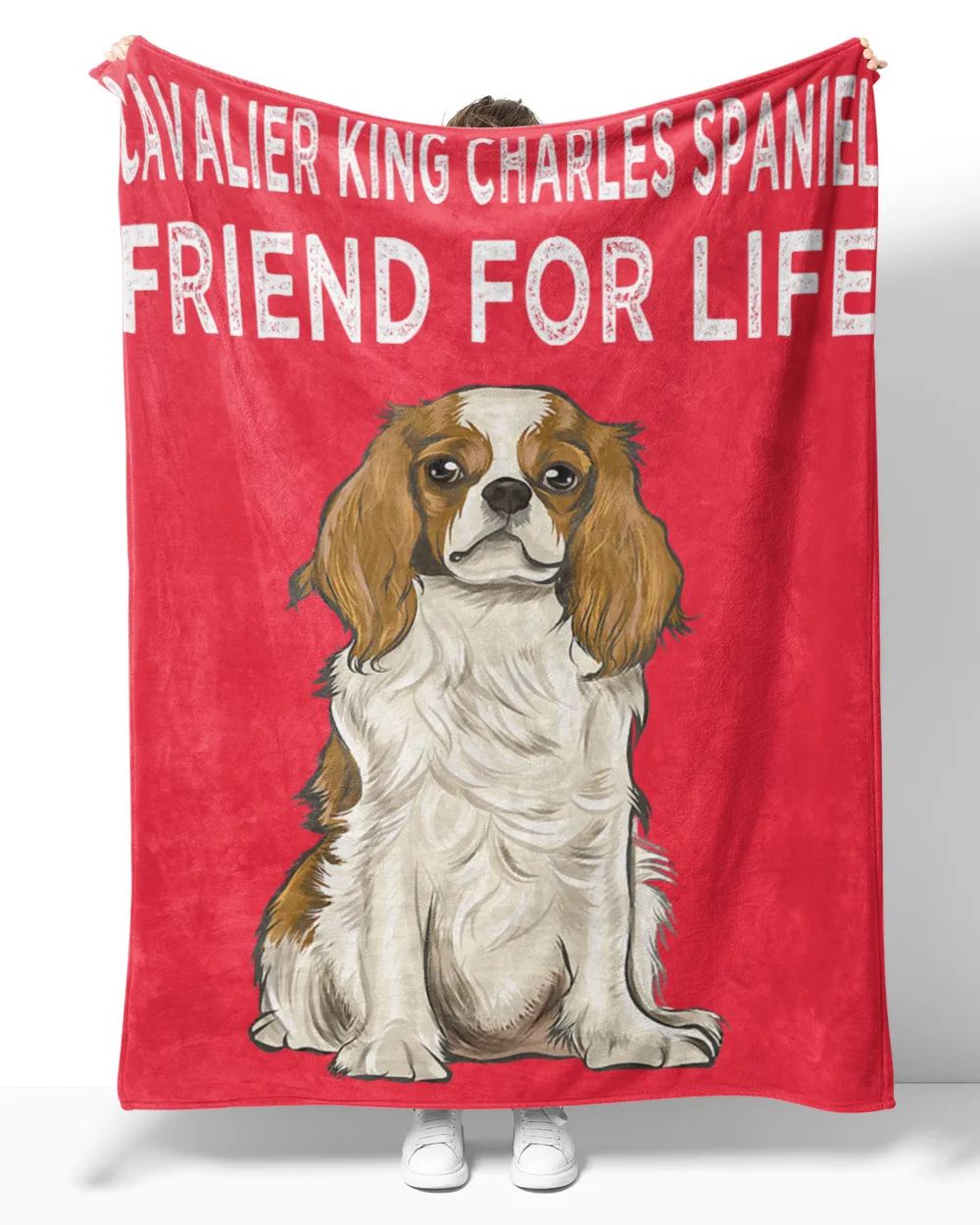 Cavalier King Charles Spaniel Friend For Life