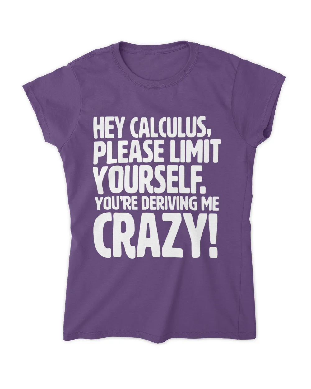 Calculus Youre Deriving Me Crazy 2Funny Calculus Teacher