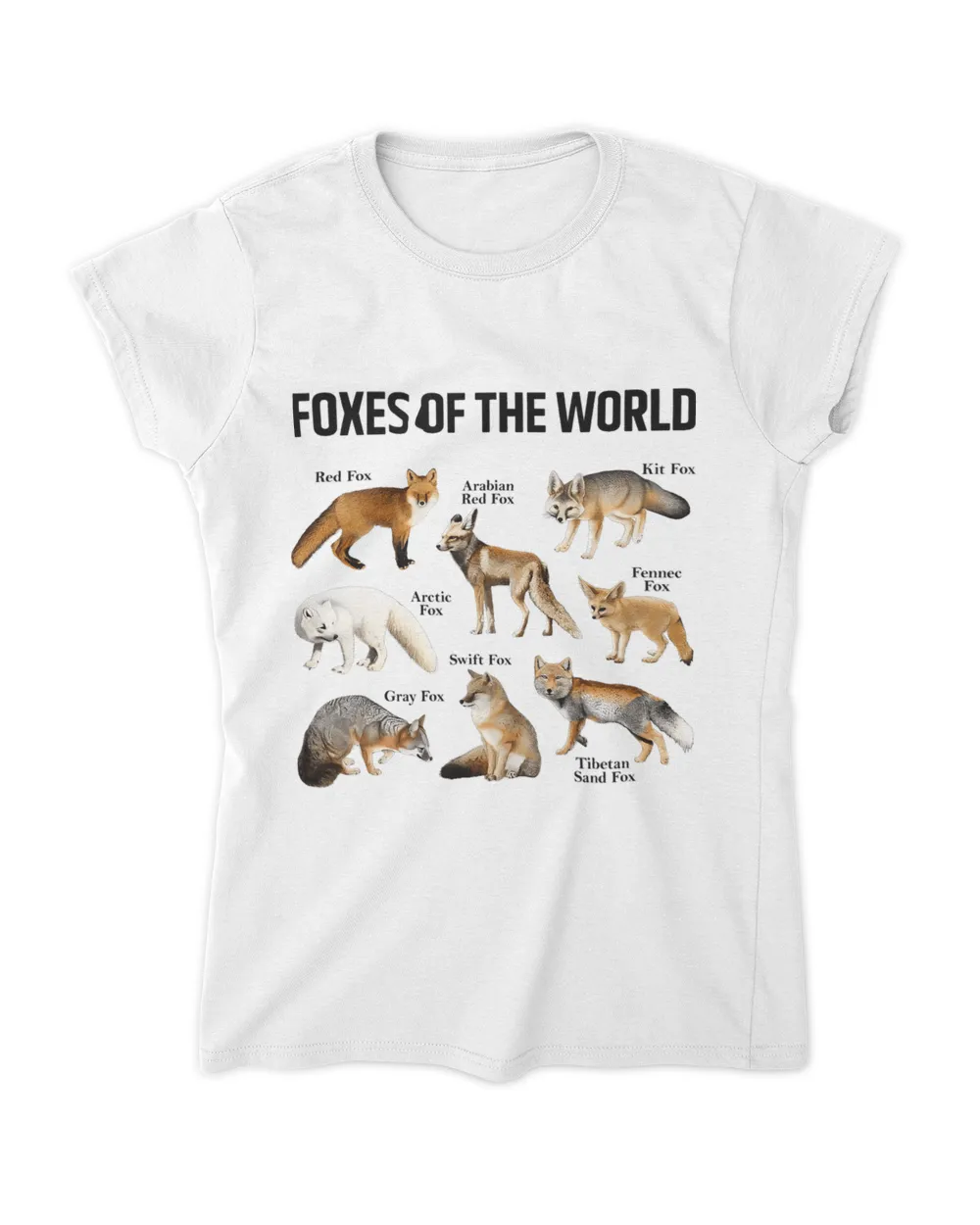 Foxes Of The World Cute Fox Animals