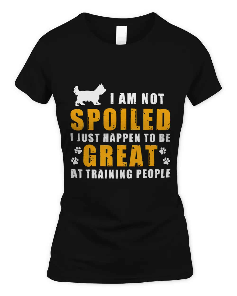Yorkshire Terrier Im not pampered to just be great randomly Yorkshire Terrier Yorkie
