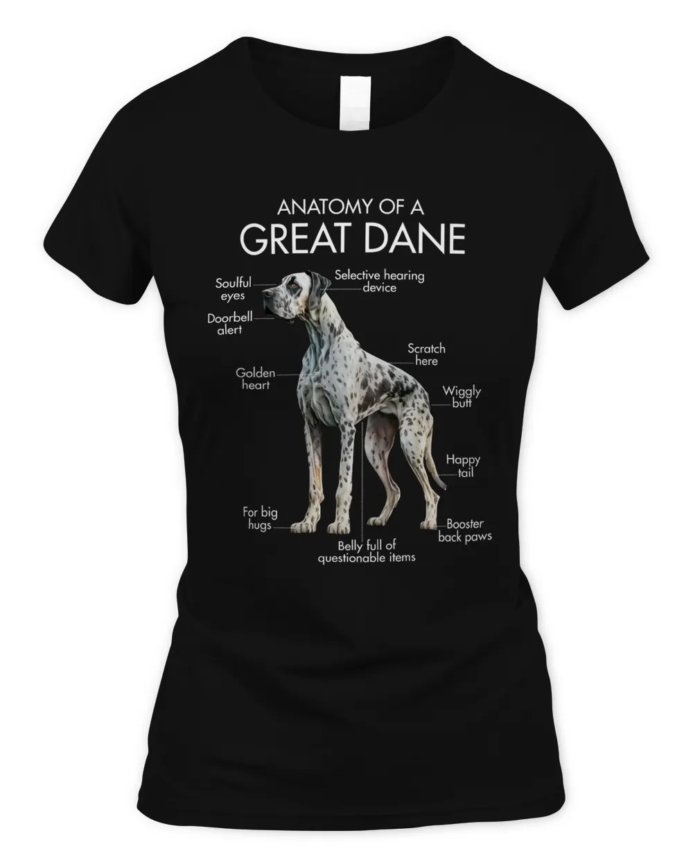 Anatomy Of A Great Dane