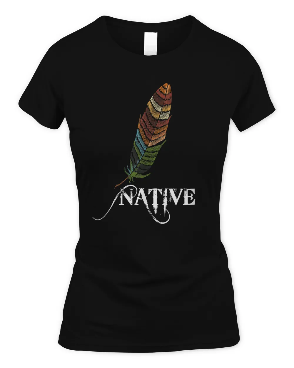 Vintage Colorful Feather Native American Indian