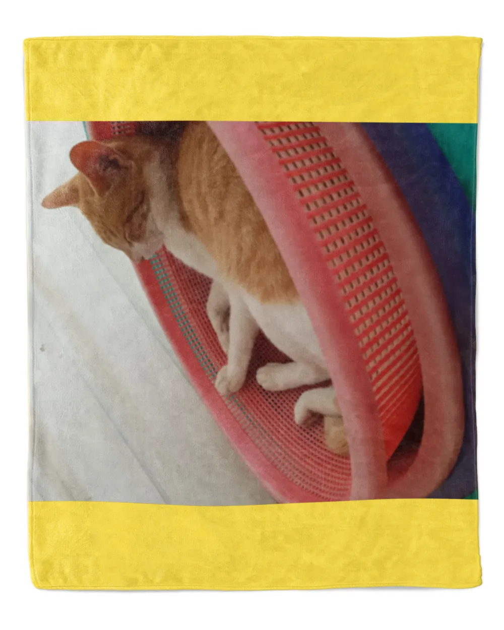 cute cat216