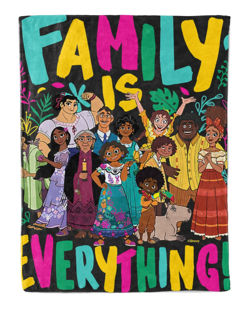 Encanto - Family Is Everything! T-Shirt