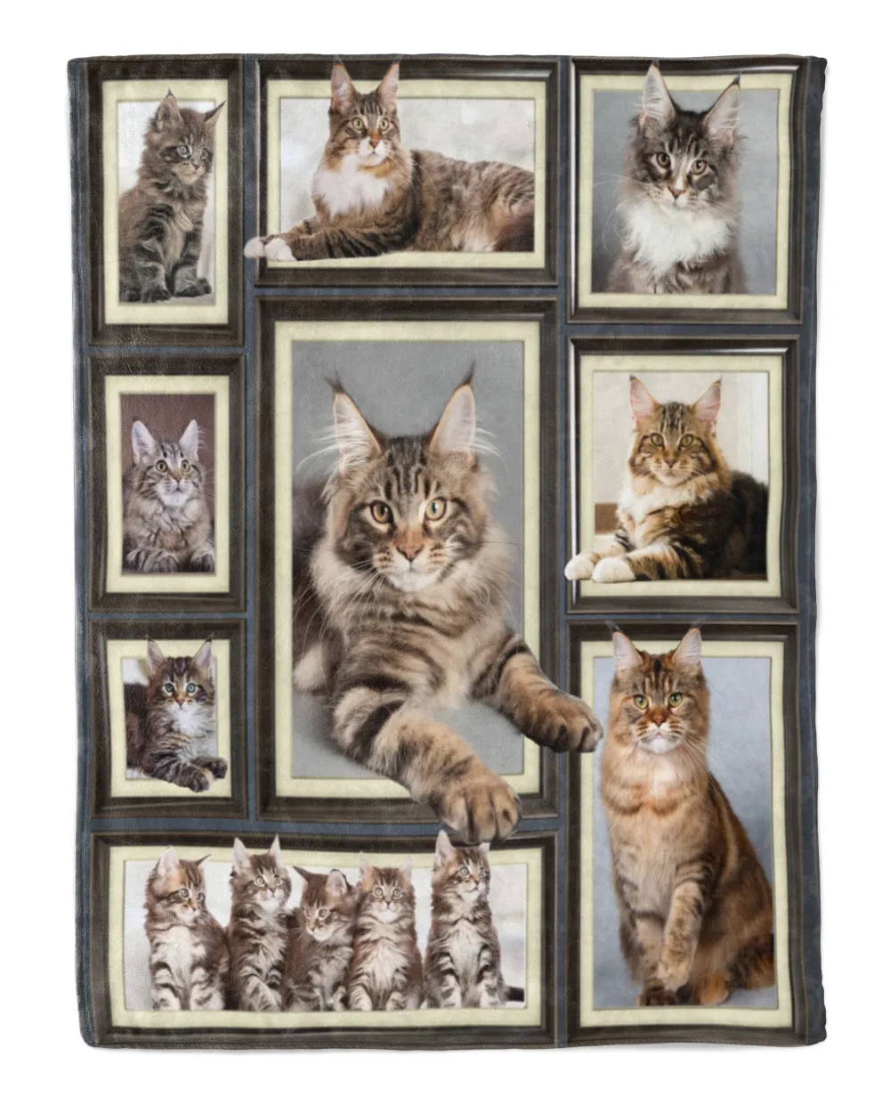 Maine coon cat picture frames set