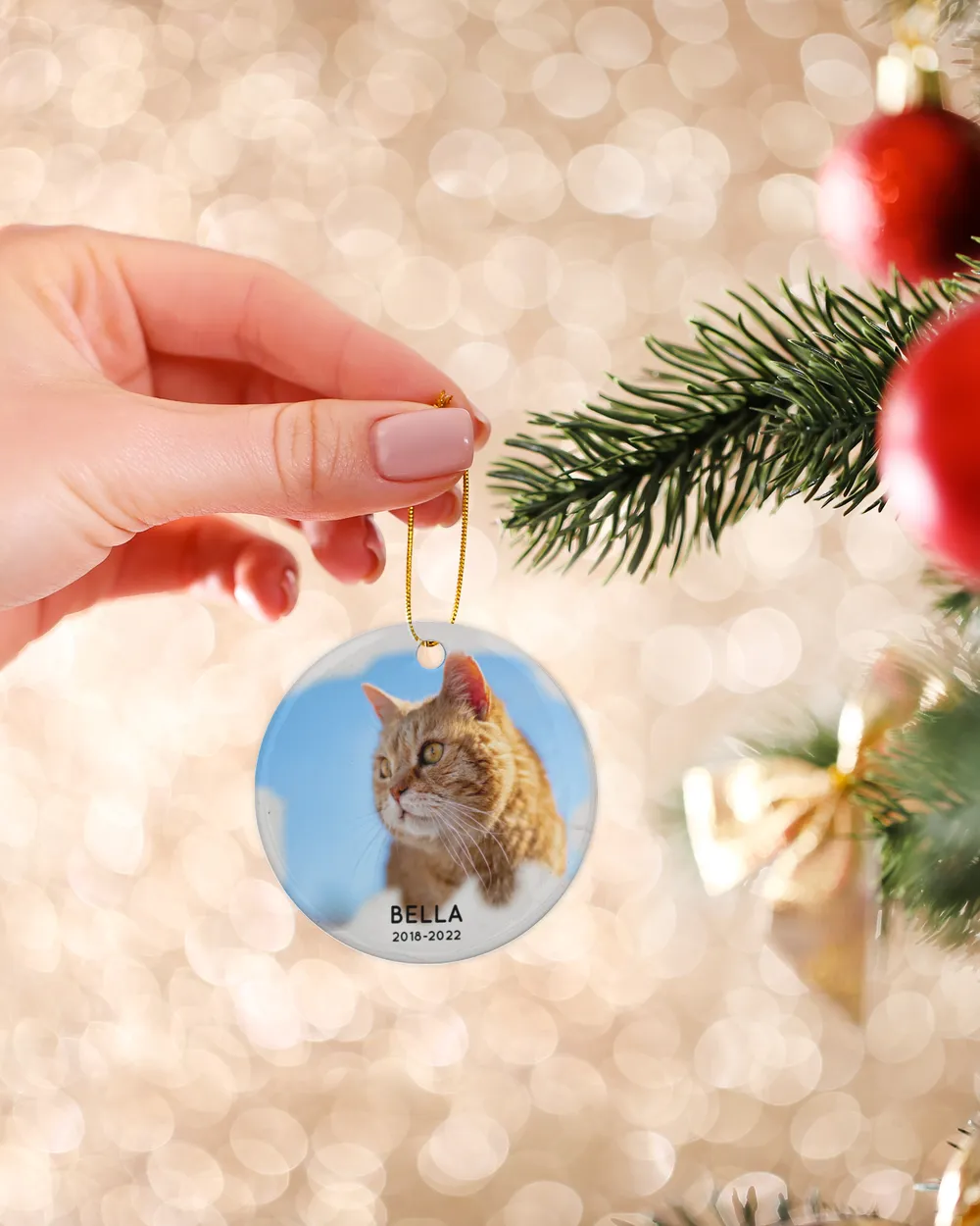 Personalized Custom Cat Pet Memorial Photo Christmas Name And DateYear Ceramic Ornament Porcelain Ornament - Circle white one-sided __single