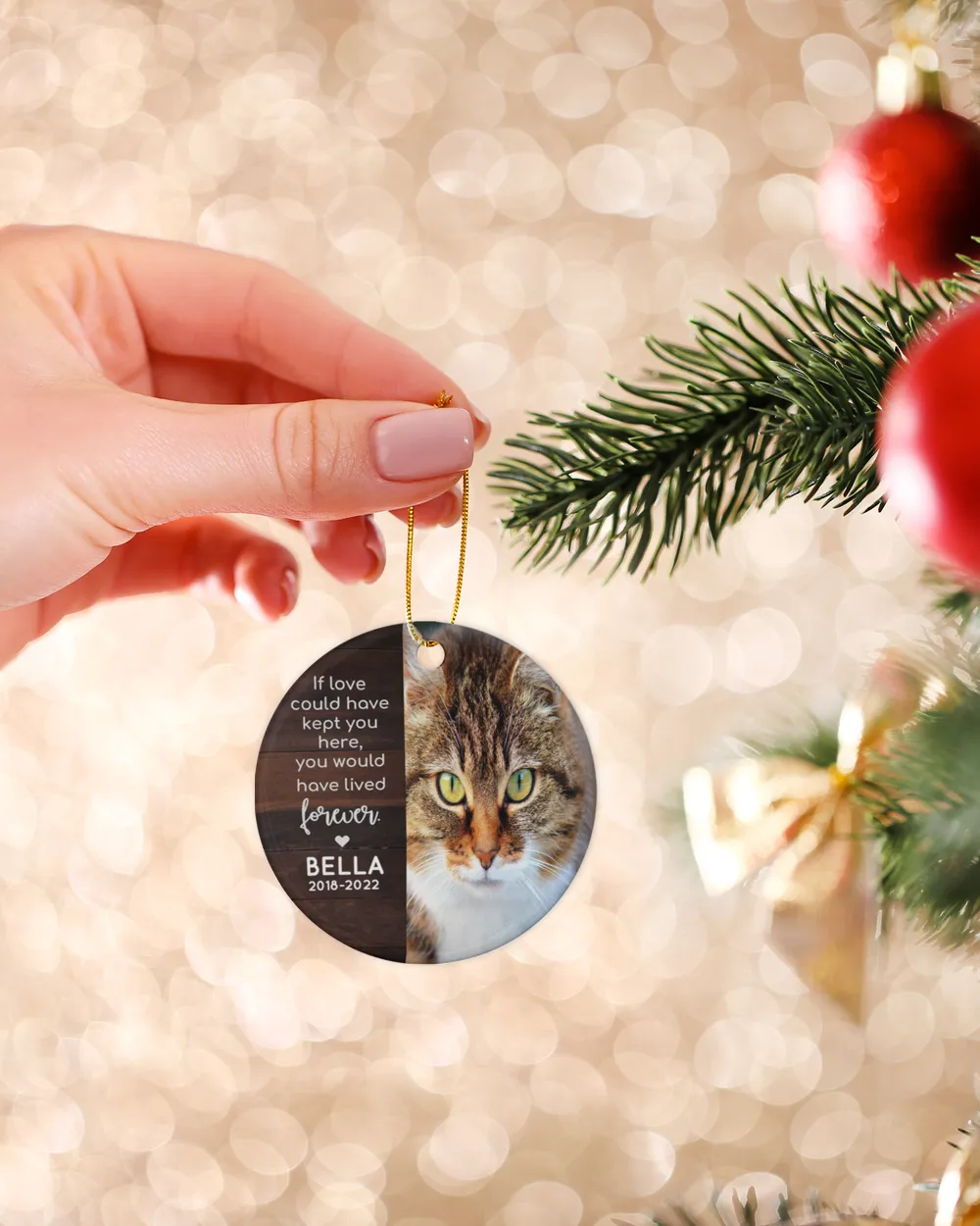 Personalized Custom Cat Pet Memorial Sympathy Christmas Name Ceramic Ornament Porcelain Ornament - Circle white one-sided __single